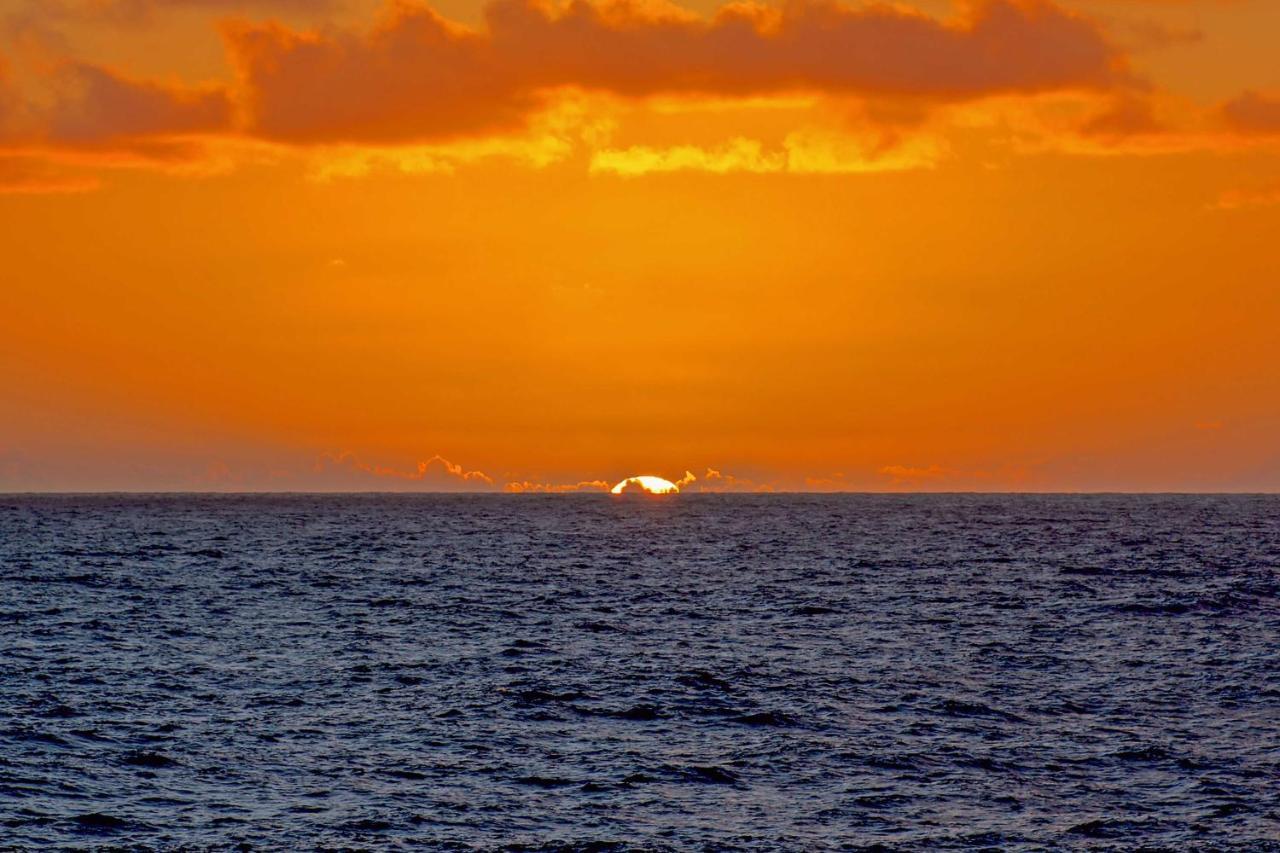 Direct Oceanfront, Big Island Home Keaau Εξωτερικό φωτογραφία